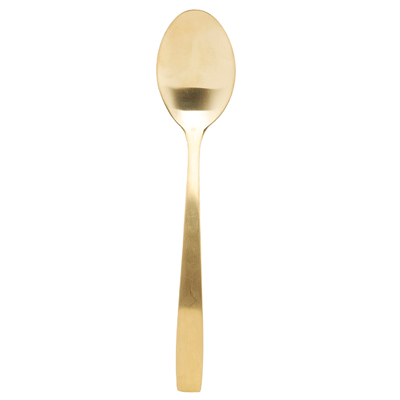 Elegant stainless Spoon