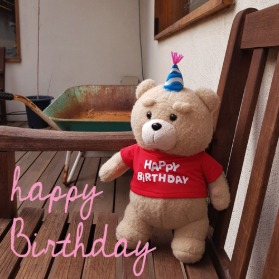 생일축하해 테드 Red / Pink Happy Birthday Ted
